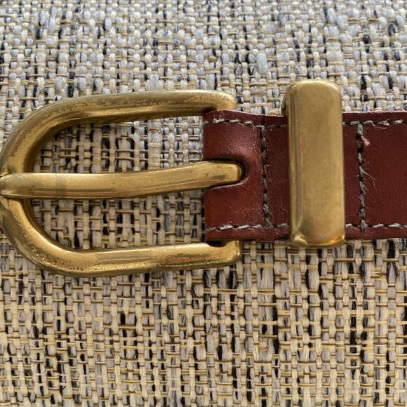 Fossil belt - Picture 2 of 7